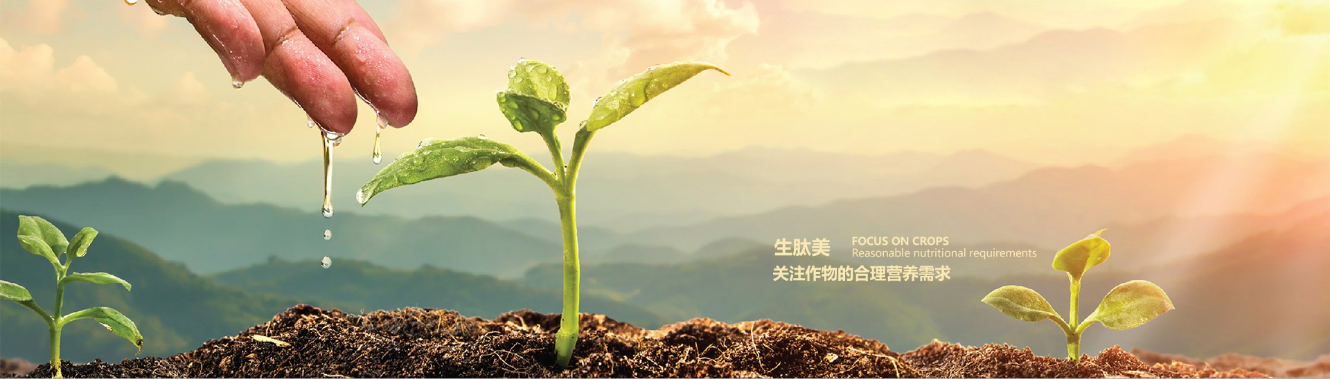 青岛生肽美
